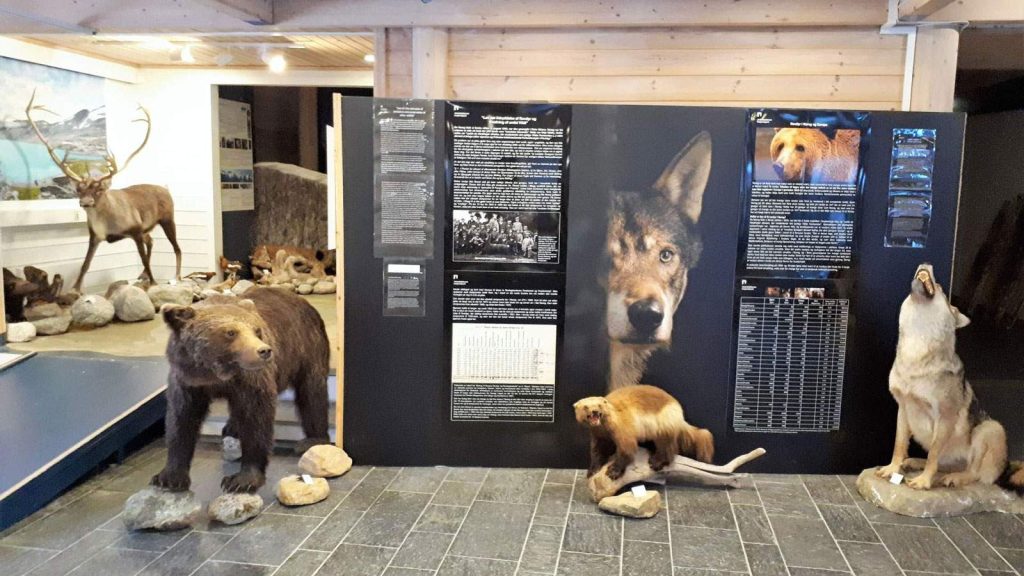 Centro de interpretación y museo Jostedalsbreen