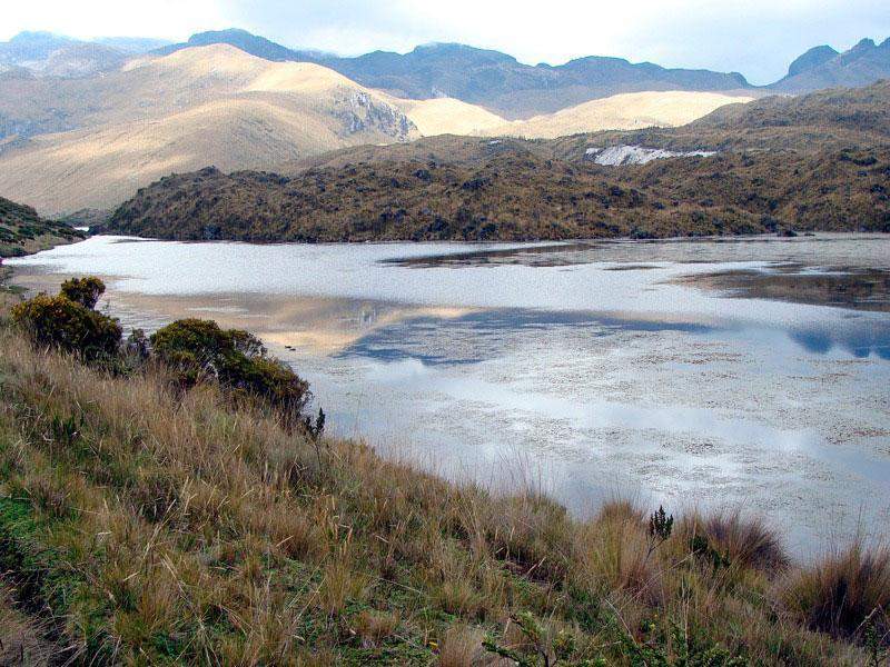 Laguna del Otún