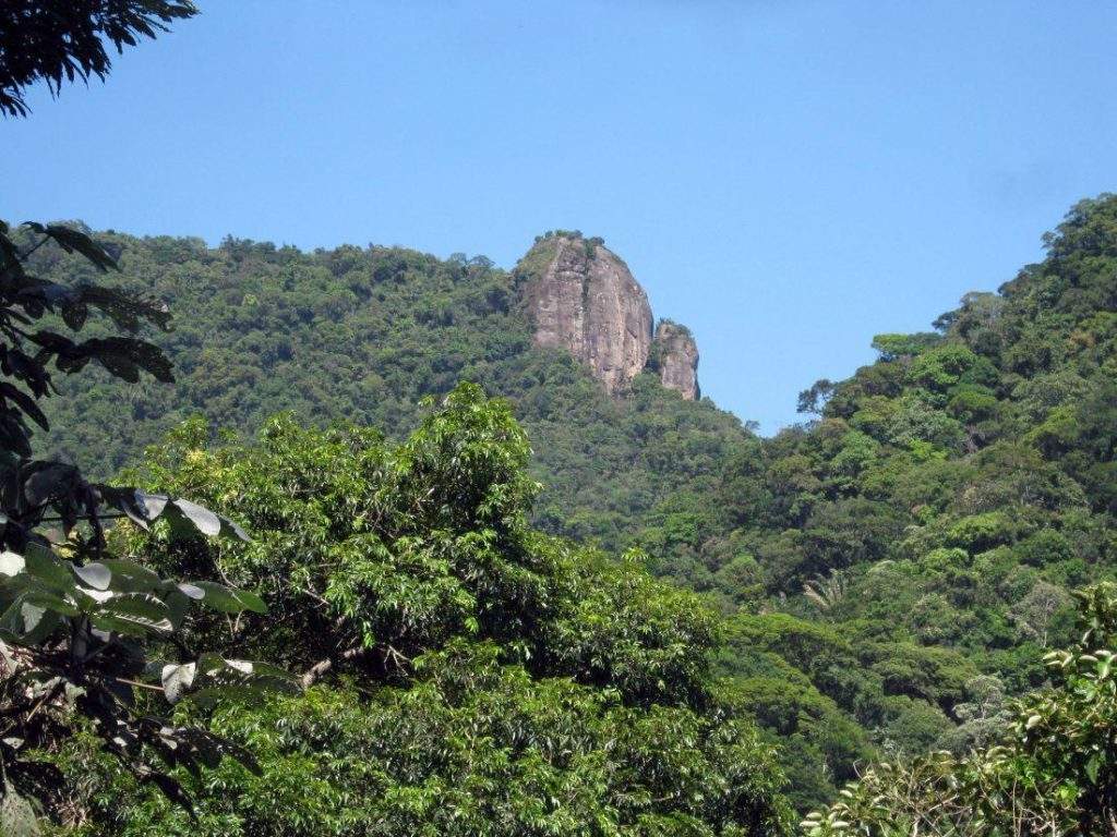 Atracciones en el Parque nacional Tijuca: visitas recomendadas