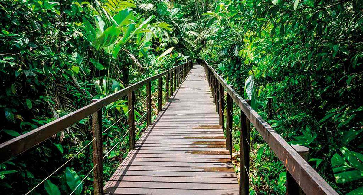 Parque Nacional de Cahuita, Costa Rica: joya ecológica llena de ...