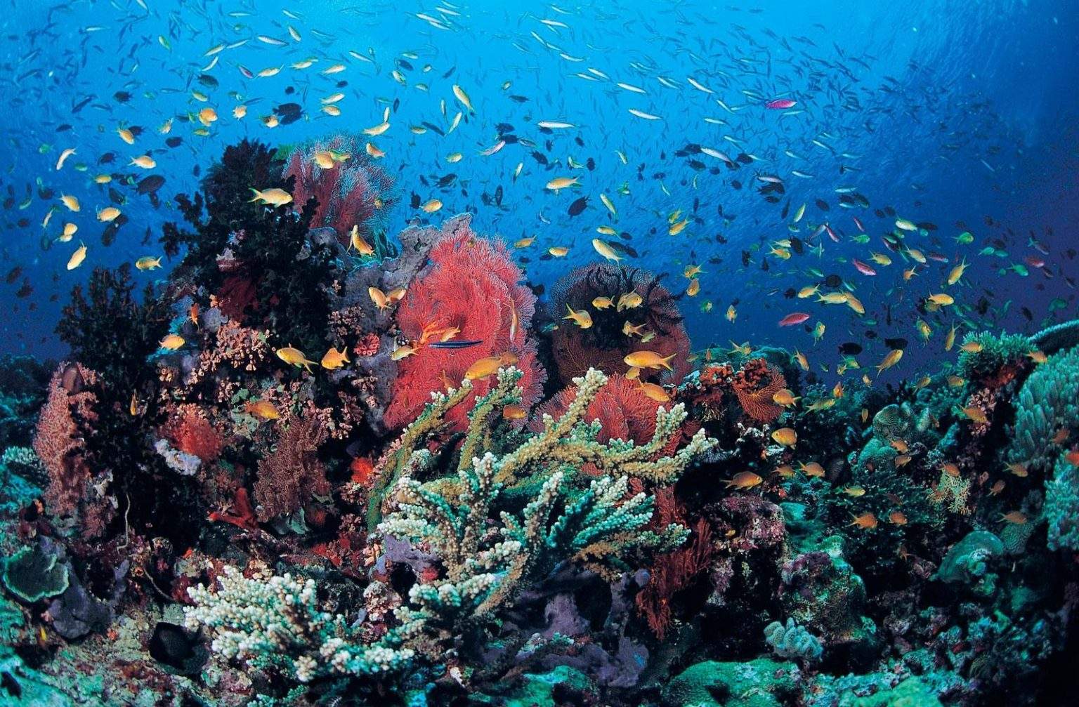 parques-nacionales-de-cabo-verde