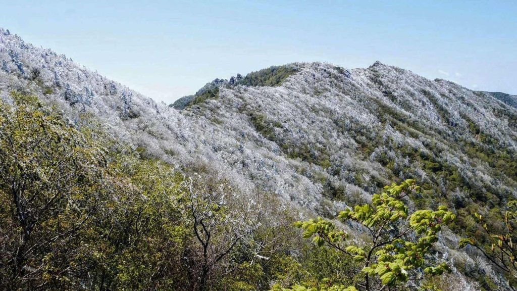 Montaña Cheonwangbong, el punto más alto del parque nacional Jirisan