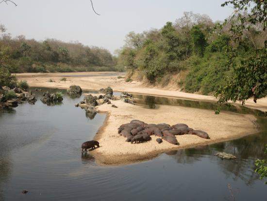 Parque Nacional Bénoué