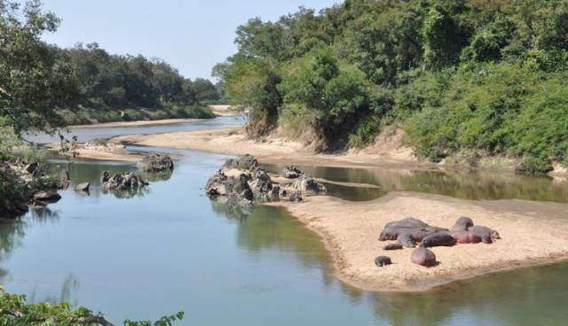 Parque Nacional Bénoué