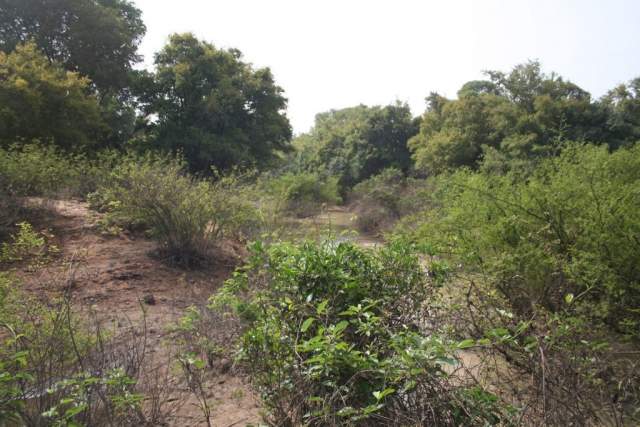 Parque Nacional Kaboré Tambi Parque Nacional Kaboré Tambi