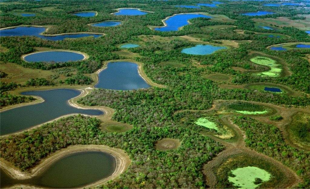 Atracciones turísticas y sitios que visitas en en el Pantanal de Brasil