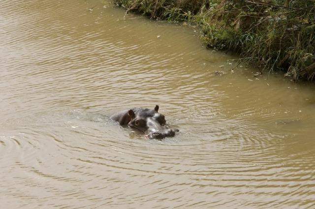 Parque Nacional Arli Parque Nacional Arli