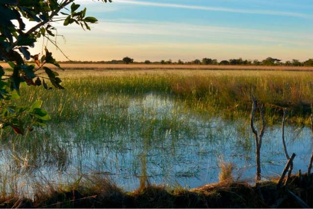 Parque Nacional Cameia