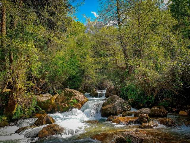 Parque Naicional Djurdjura