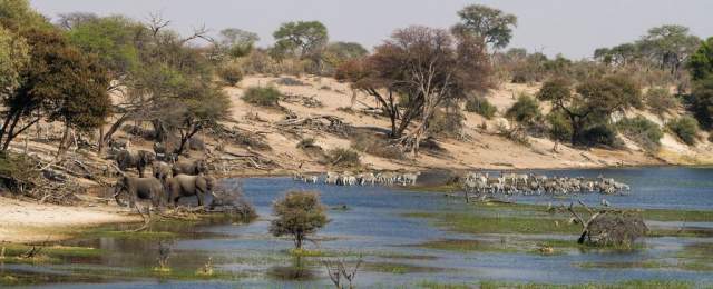 Parque Nacional de Makgadikgadi