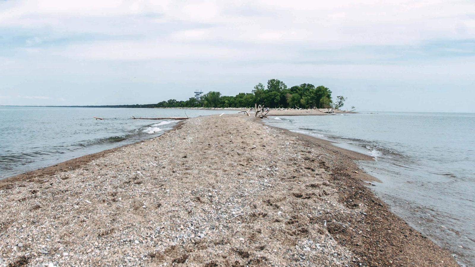 Parque Nacional Point Pelee, Canadá Guía para Planificar Visitas