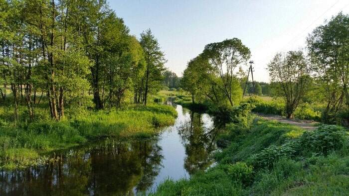 Pesca en la orilla del río Narewka en Polonia