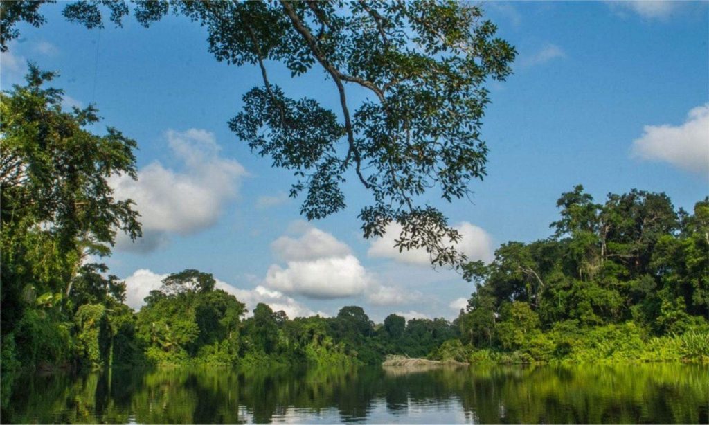 Nationalpark Manu