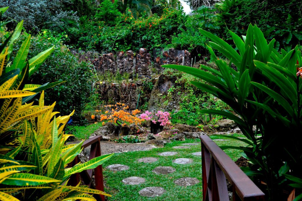 Andromeda Botanic Gardens in Barbados