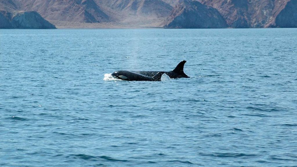San Lorenzo Marine Archipelago National Park