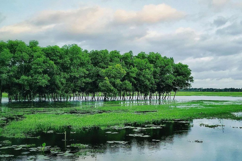 National Parks of Bangladesh, Protected Areas, Sanctuaries and Nature Reserves