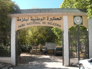 Belezma National Park
