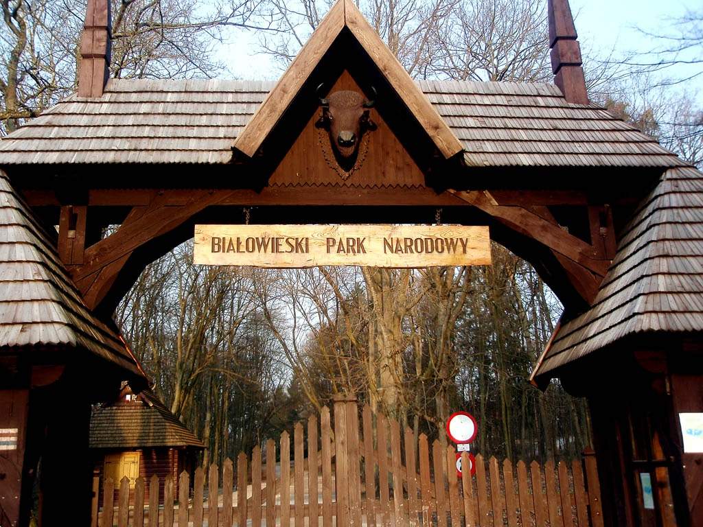 Białowieża National Park