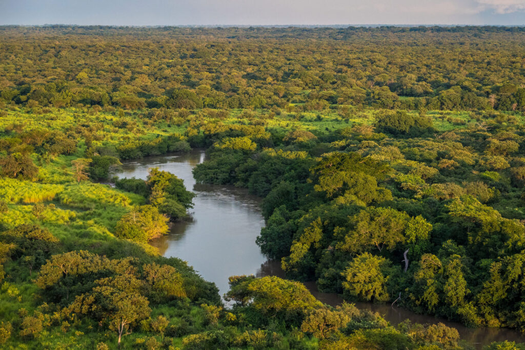 Bicuar National Park