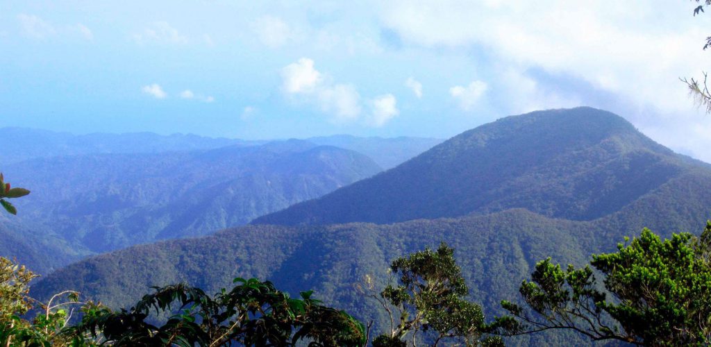 Blue and John Crow Mountains National Park