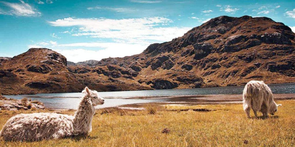 Nationalpark Cajas