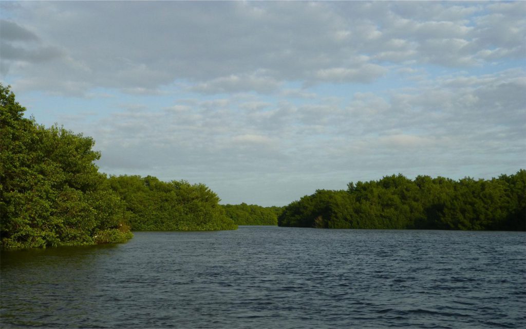 Caroni Lagoon National Park