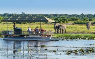 Guided tourism in Chobe National Park Guided tourism in Chobe National Park