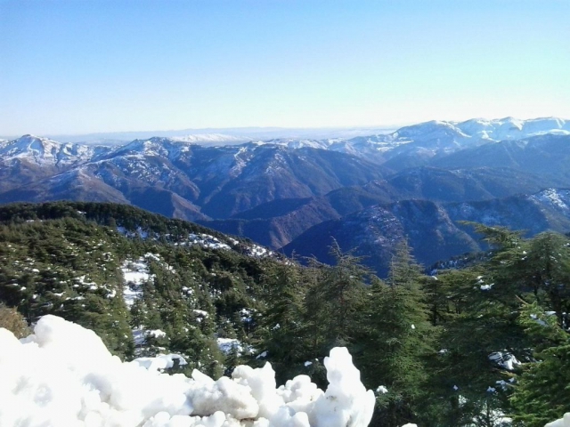 Chréa National Park in Algeria, Africa