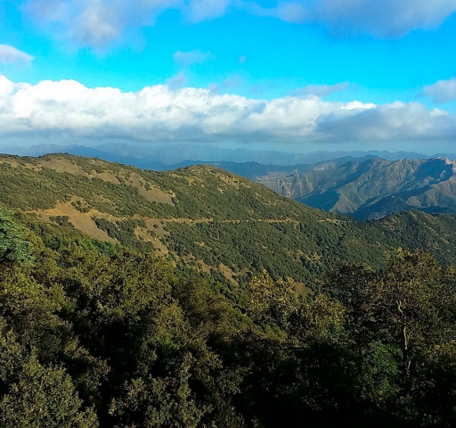 Mountains of Chréa National Park