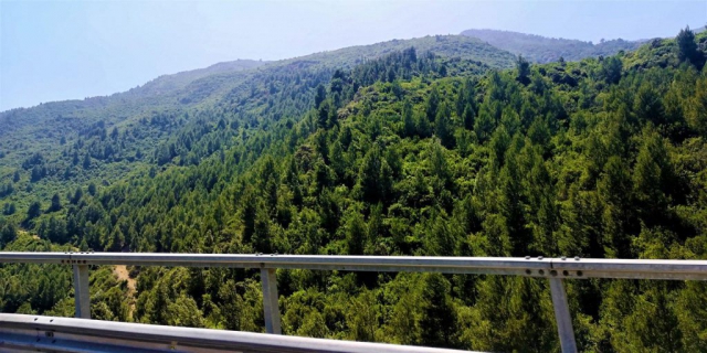 Panoramic view of Chréa National Park