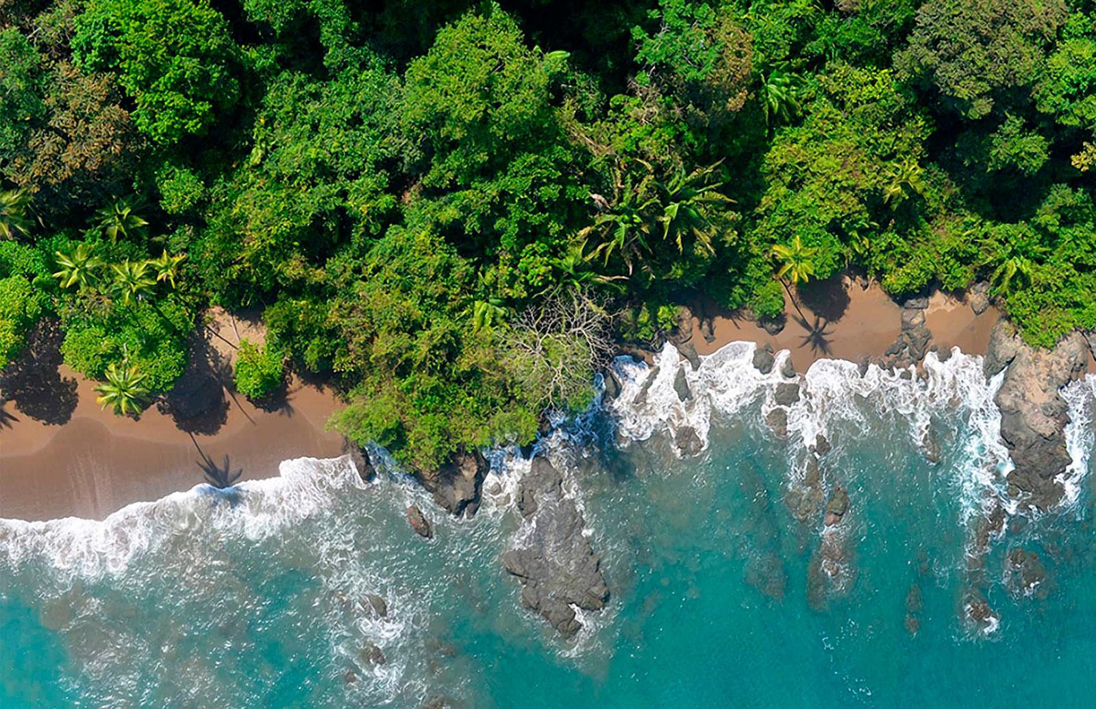 Parc national Corcovado