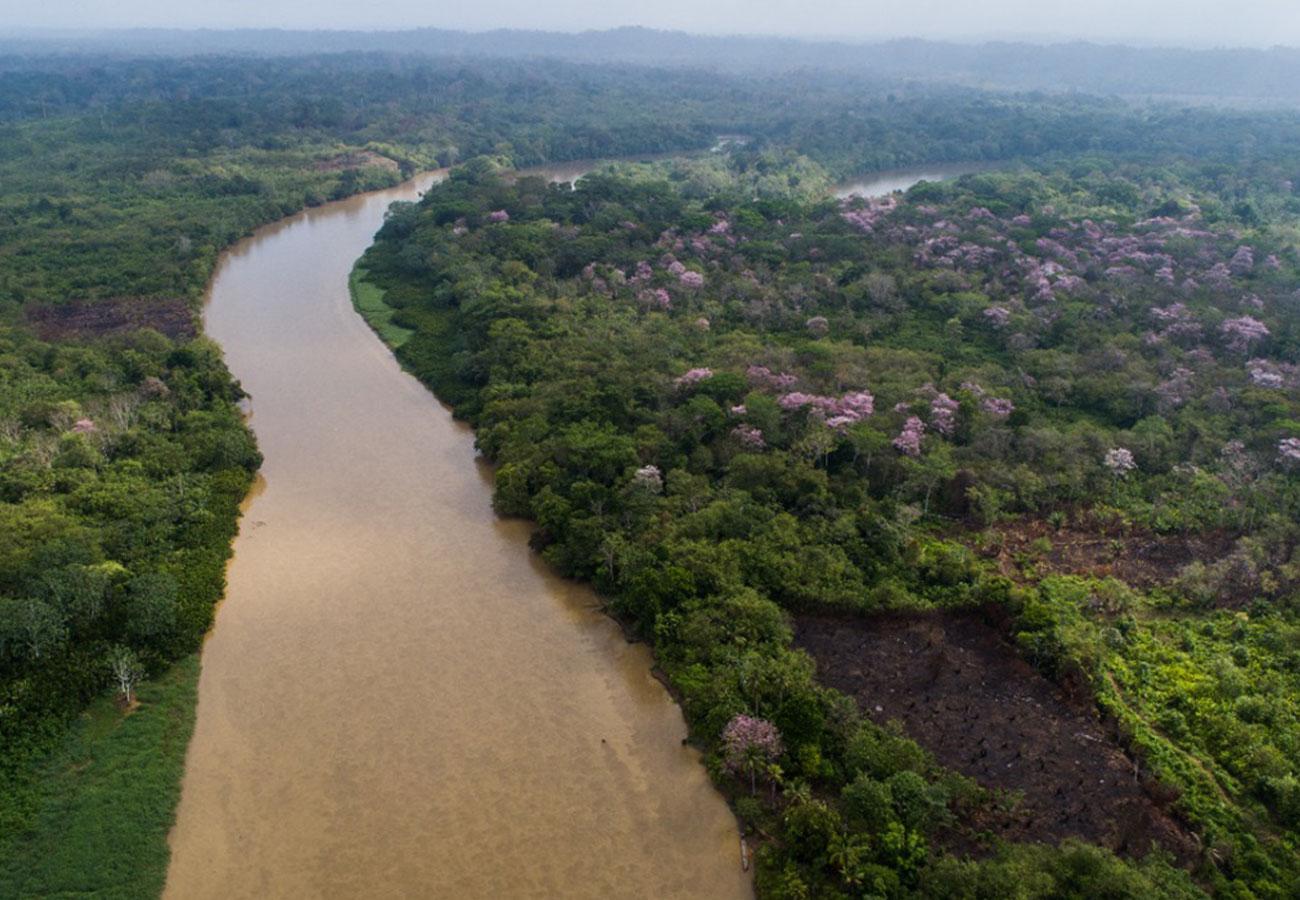 Nationalpark Darién