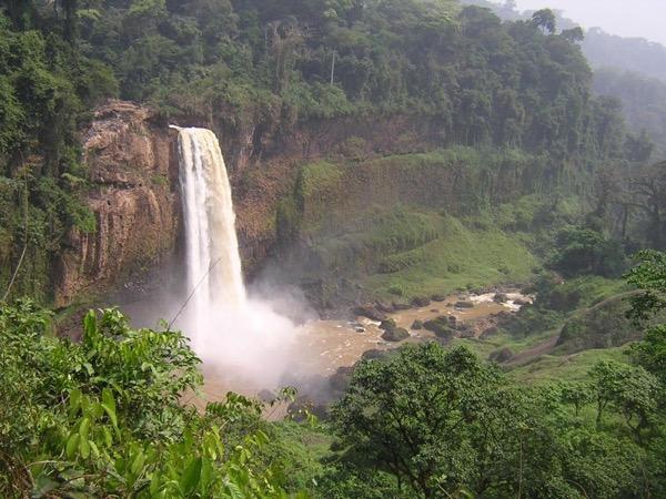 Douala-Edéa National Park