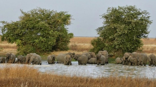 Faro National Park