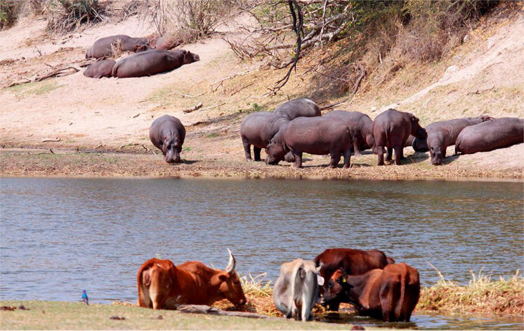 Faro National Park