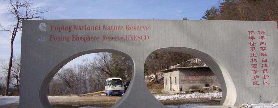 Réserve naturelle de Foping, Chine