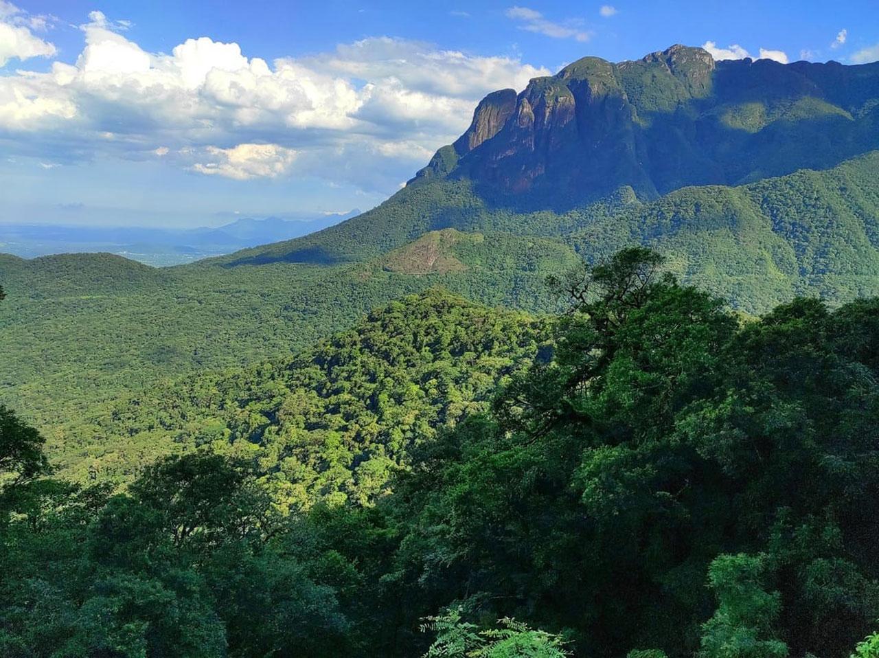 Parc National de Guaricana