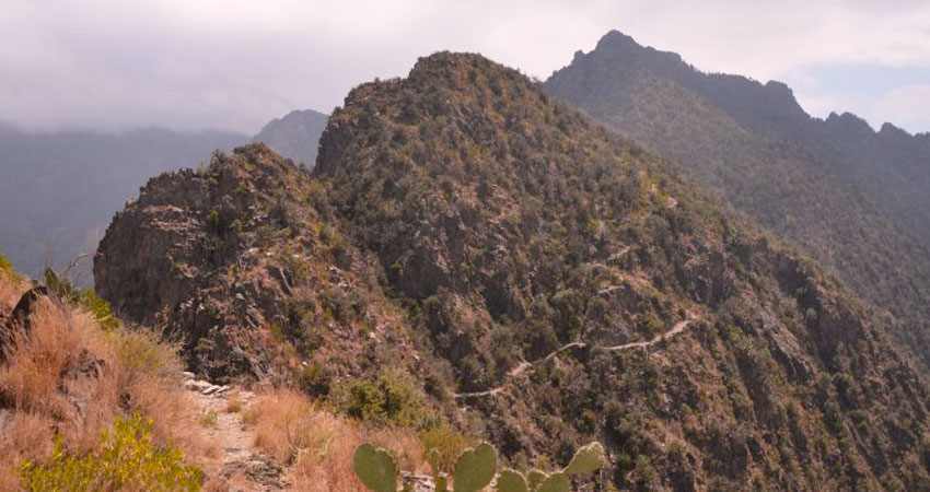 Jabal Sawda dans le Parc national Asir, Arabie Saoudite