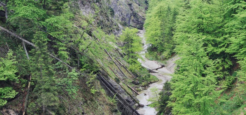 Kalkalpen National Park