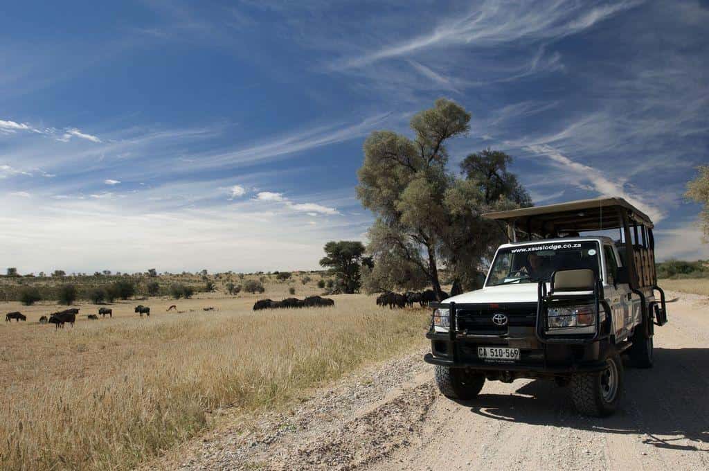 Nationalpark Kgalagadi: Eine Reise durch die rote Wüste Botswanas