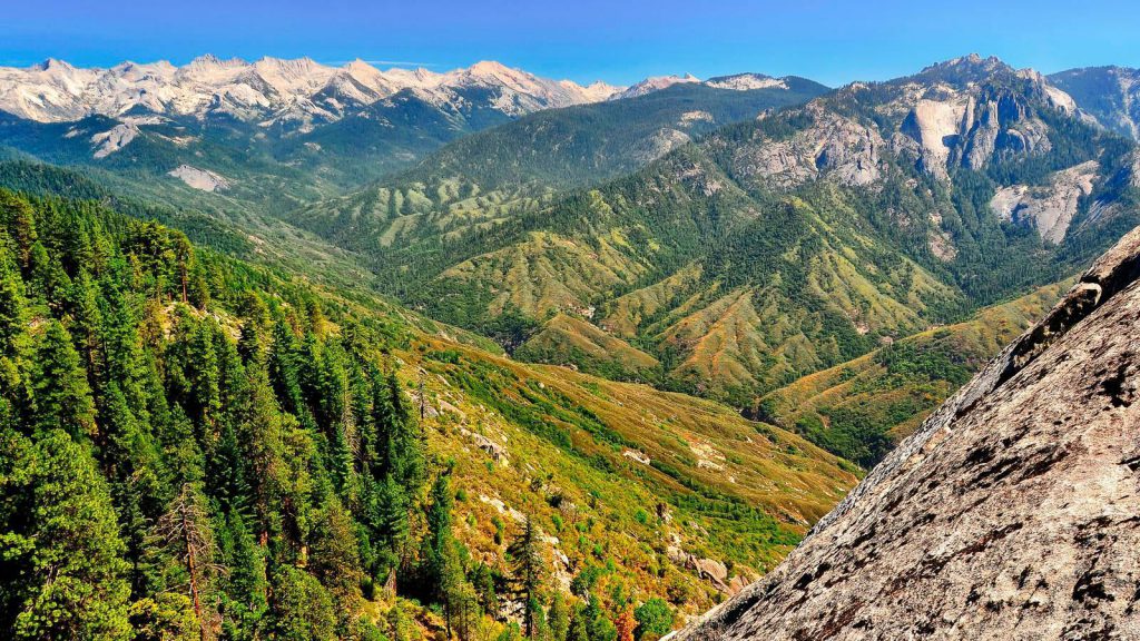 Kings Canyon National Park