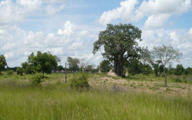 Mupa National Park: Photography from the Savannah