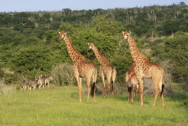 Luende Mupa National Park