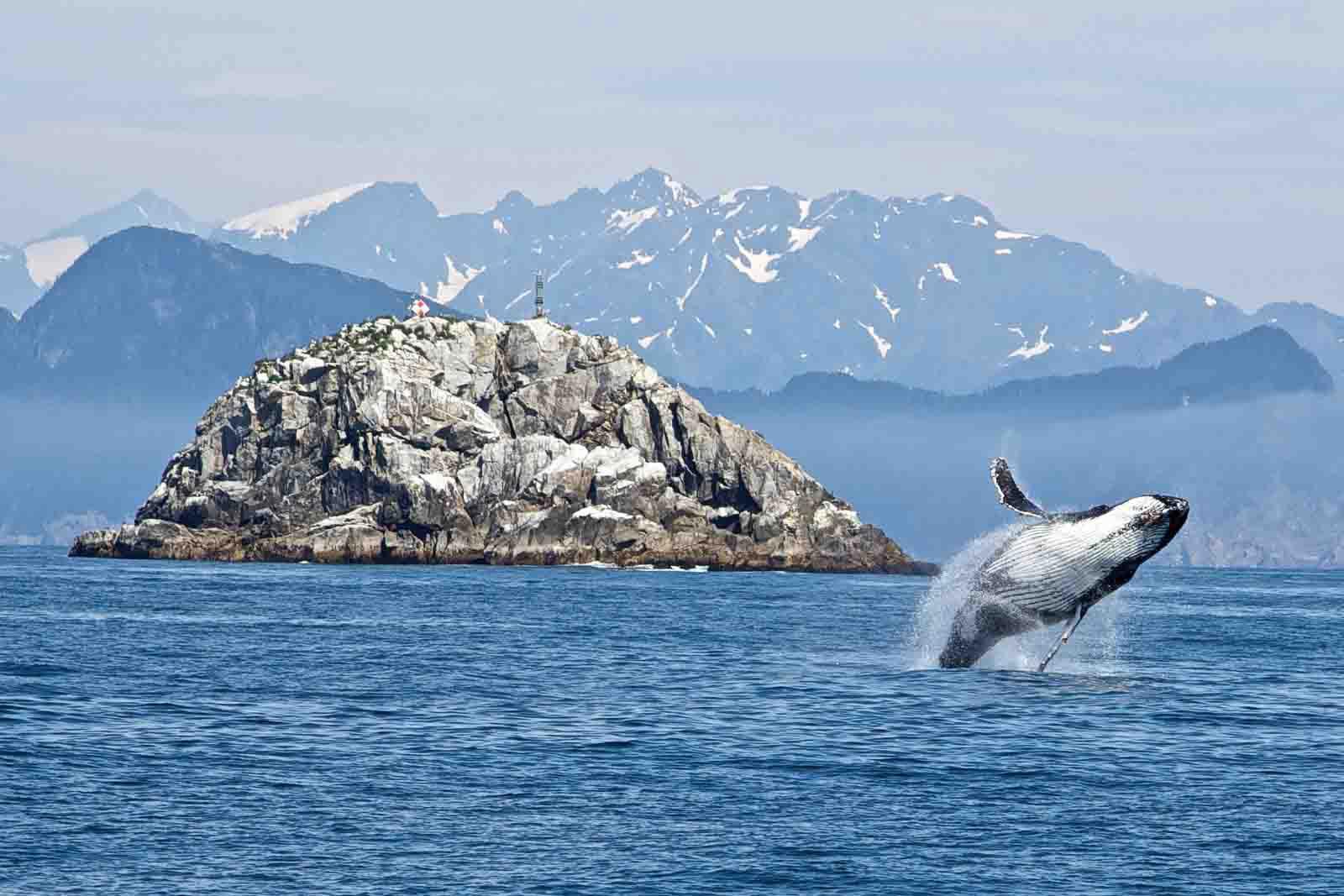 Parc national de Kenai Fjord