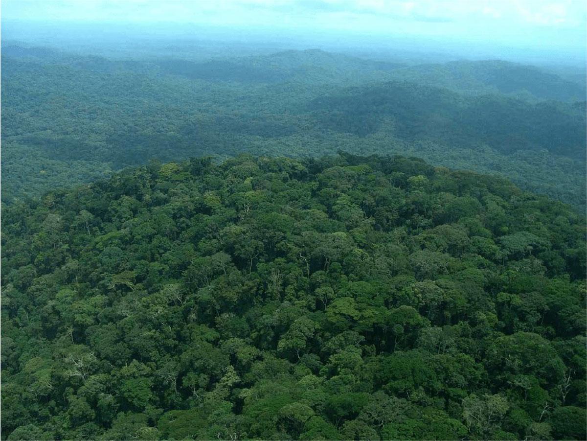 Mpem- und Djim-Nationalpark