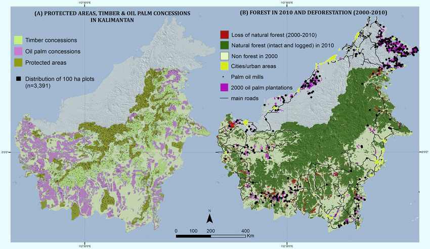 Nationalparks von Borneo (Indonesien)