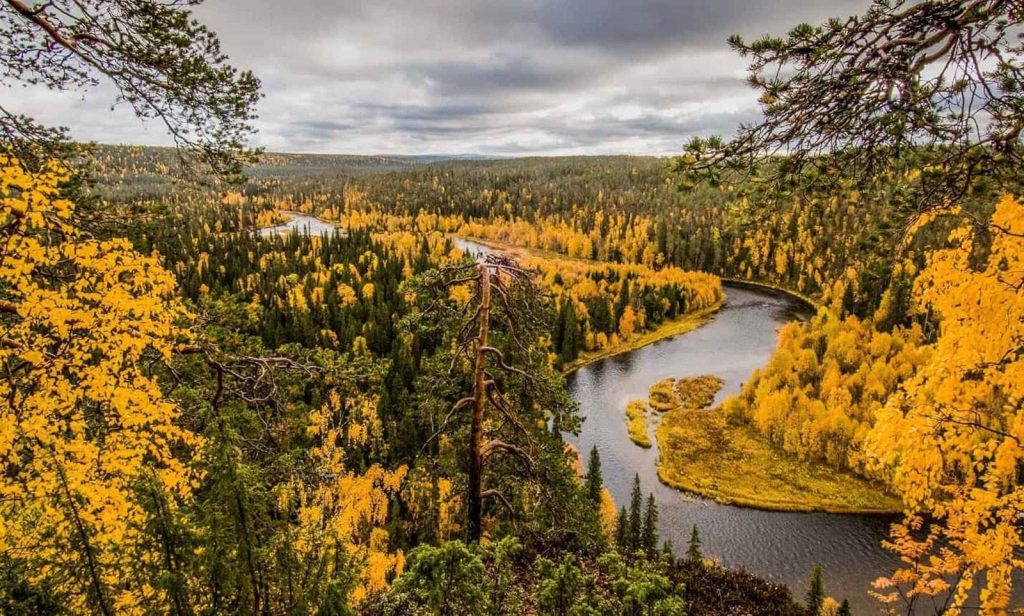 Oulanka National Park