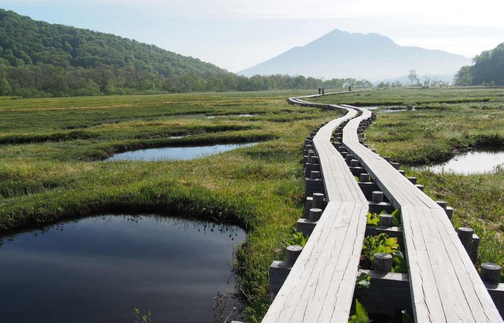 Parc national d’Oze : Guide des visiteurs, excursions et activités