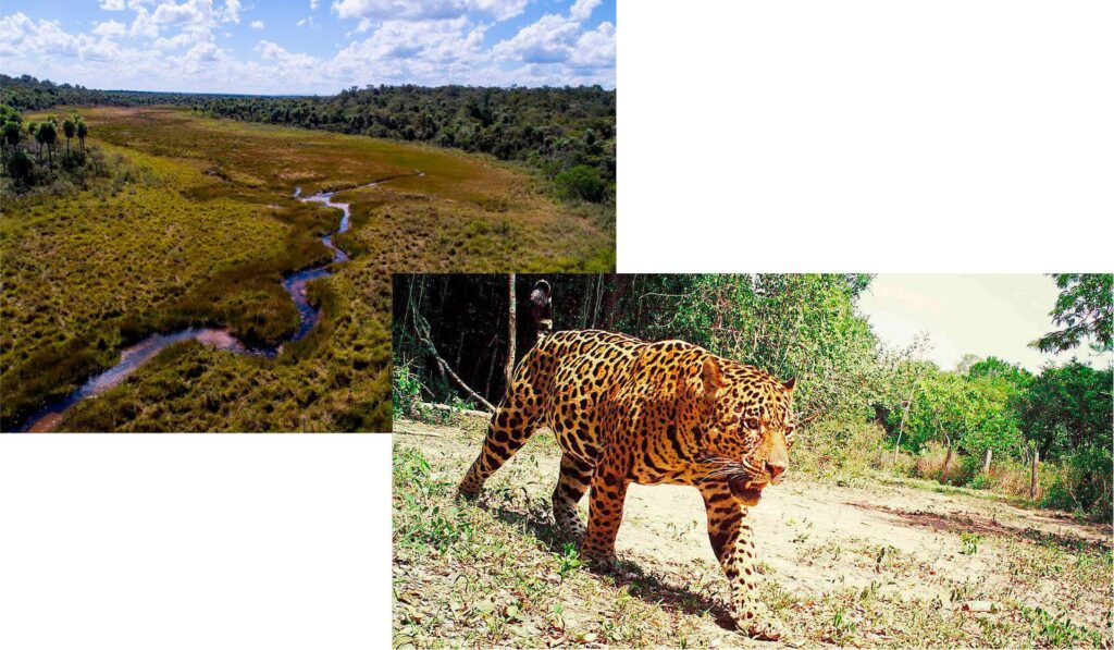 Kaa Iya del Gran Chaco National Park and Integrated Management Natural Area