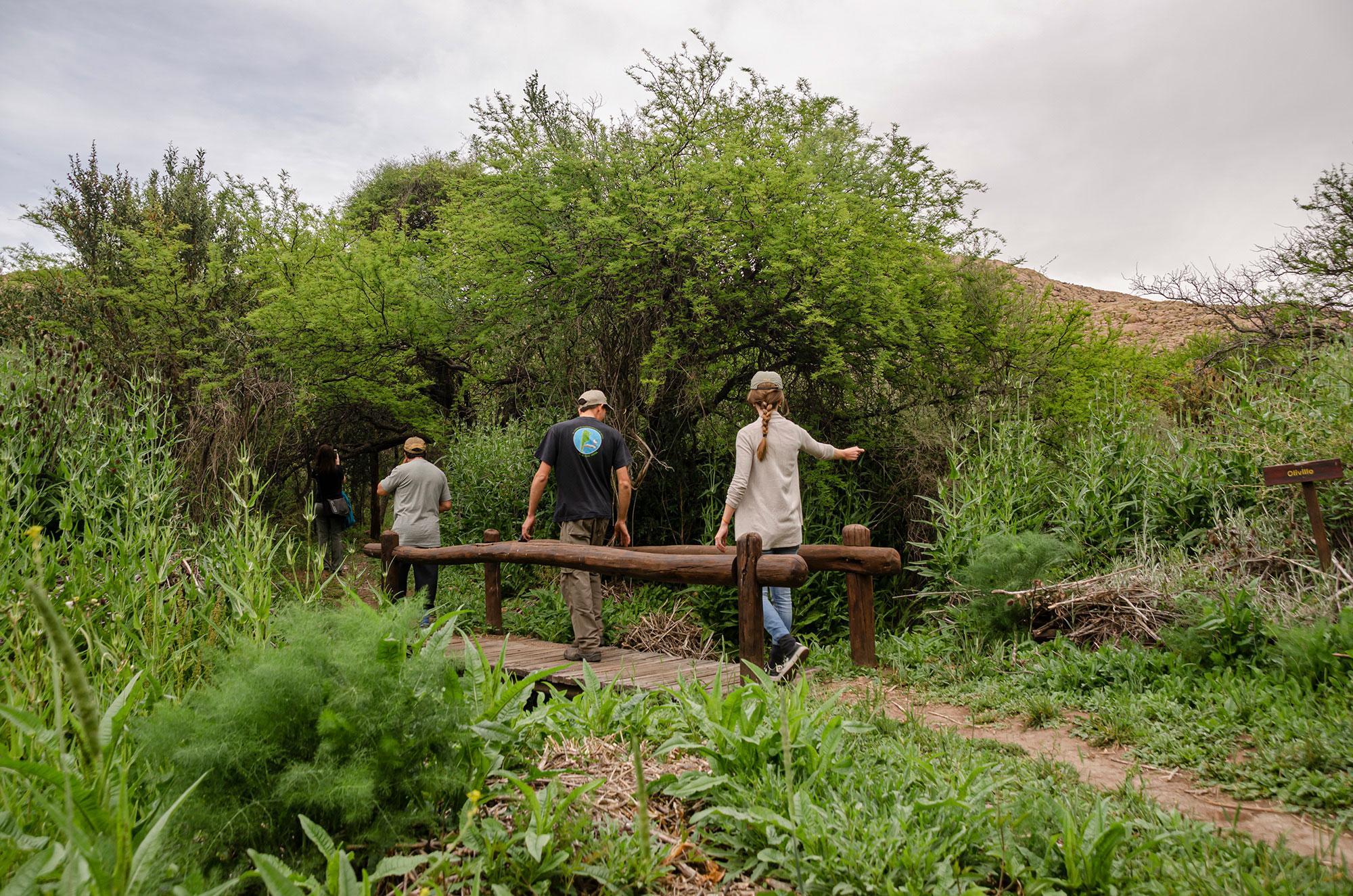 Parc national Lihué Calel